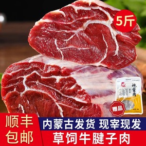 内蒙古 草饲牛腱子肉2500g 草原散养 新鲜现杀生牛肉生鲜健身食材