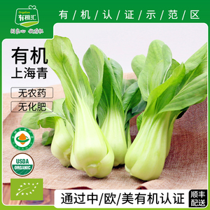 有机汇  有机上海青小油菜时令农家新鲜蔬菜配送叶菜小青菜500g