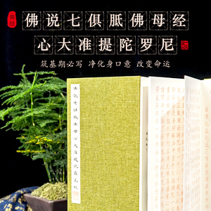 准提陀罗尼经佛母神咒书法抄经本抄经册页开智慧提福报离匠经折