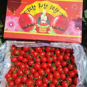 釜山88千禧圣女果玲珑小番茄3斤礼盒新鲜甜蜜多汁多省发顺丰包邮