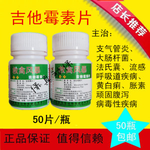 兽药禽药救禽风暴吉他霉素片支气管炎黄白痢大肠杆菌伤寒