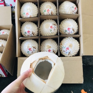 泰国进口香水椰青nice迪士尼k-fresh椰子水果椰子汁原箱9个礼盒装