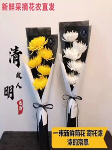 黄白菊花祭祀扫墓清明节哀悼祭祖拜山求佛鲜切花束现采摘江苏基地