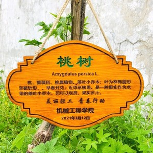 树牌定制木质悬挂