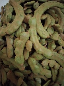 海南儋州生酸角青酸豆新鲜酸梅罗望子三亚酸鱼汤一件500g