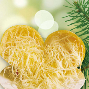 金丝搅瓜种子苗 金丝绞瓜天然粉丝 四季庭院盆栽农家瓜果蔬菜苗