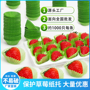 绿色草莓纸托大中小号油桃底托纸烘焙食品蛋糕纸杯水果防碰撞包装