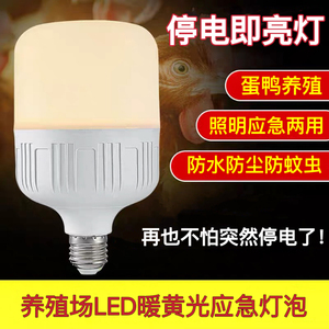 led应急灯暖光鸡鸭养殖断电即亮智能蓄电应急照明两用防停电灯泡
