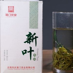 蒲门春茶上市云南滇绿茶叶蒲门茶业滇青绿茶早春茶300克/盒