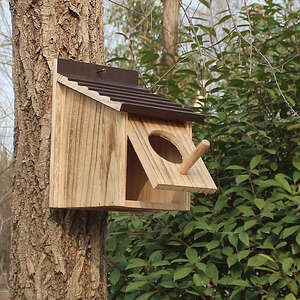 绿色校园实木小鸟窝户外鹦鹉室内繁殖箱保暖定制防雨鸟巢孵化护林