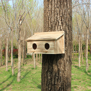 户外鸟窝环保实木小房子鹦鹉繁殖箱定制芦丁鸡保温笼爬虫用具引鸟