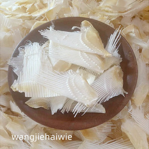 鲨鱼肉翅