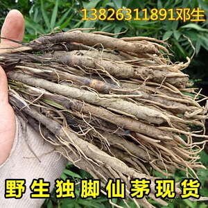中药材独脚仙茅丝茅独茅根下单现挖当天发货鲜货一斤