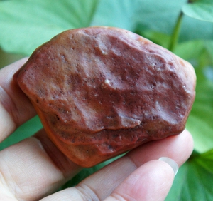 新疆阿勒泰富蕴县杜热镇原石红黄俏色沙漠漆金丝玉把件挂件牌子料