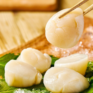 进口帆立贝柱刺身