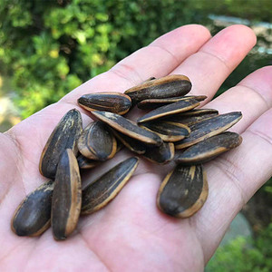 厦门特产新品组合坚果大粒焦糖味瓜子红皮水煮花生散装200g*2