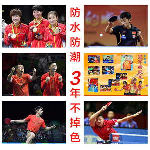 乒乓球海报运动员球室体育明星张继科马龙刘诗雯球馆墙贴纸画挂画