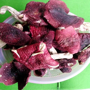 年华评春秋1971淘宝野生新货红菇100g干货云南特产大红菌红蘑菇正宗