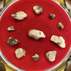 纯印老人真身坚固子 感恩  结缘 装藏品  供奉舍利塔 嘎乌盒