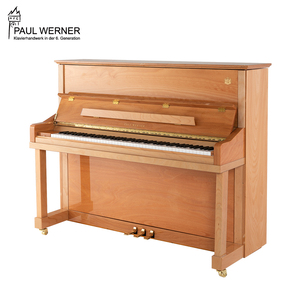 paul werner德国博尔威纳钢琴皇家系列幻影-123高端品质现代简约