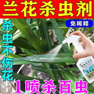 兰花杀虫剂小黑飞小飞虫蚧壳虫蚜虫红蜘蛛杀虫驱虫花卉绿植通用药