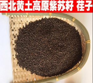 紫苏子又名荏庆阳镇原特产 可作调味榨油种子 荏子散装500g包邮
