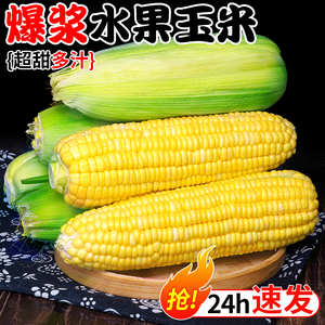 云南水果玉米10斤新鲜当季蔬菜生吃甜糯玉米棒子金银粘苞谷米包邮