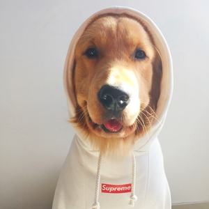 恶搞sup潮牌宠物大狗衣服狗狗卫衣帽衫金毛哈士奇萨摩耶中大型犬