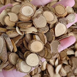 单面针500克中药材 山枇杷 白三百棒 九百锤 黄椒根 新鲜晒干包邮