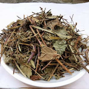 透骨消500克中草药材 满山香 透骨草 冬青叶 香叶子 连线草 包邮