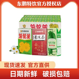 东鹏特饮菊花茶植物凉茶饮料250ml*24盒整箱团购夏日茶饮料