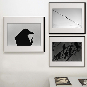日本黑白摄影大师深濑昌久鸦系列极简设计白墙黑框装饰画挂画