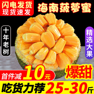 海南三亚菠萝蜜新鲜水果波罗蜜当季一整个20-40斤整箱包邮红肉