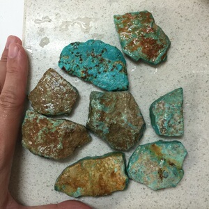 美国松石 玉化金曼原石 35一克