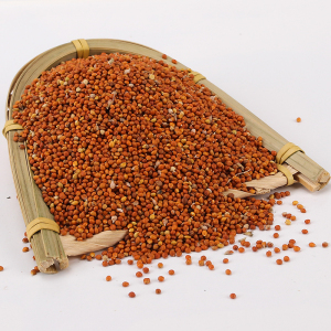 红谷子米