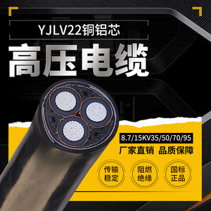 铝高压国标YJLV22铜铝芯8.7/15KV35/50/70/95平方10KV地埋电缆线