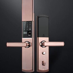 热销新款浙江省防盗门智能指纹锁特畅恒h23自动下滑盖防猫眼功能