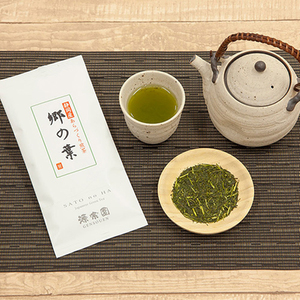 日本煎茶静冈特级乡之叶深蒸绿茶冷热泡茶回甘初采味浓新茶叶100g