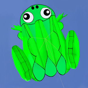 潍坊风筝 软体风筝 大型风筝 风筝线轮 成人儿童风筝 青蛙风筝