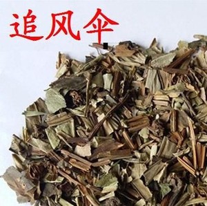 正品中药材追风伞追风散惊风伞一把伞公接骨丹野生新货500克包邮