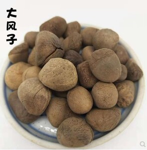 本┩侍锰丶段蘖蜓≈幸┎钠分收反蠓子大枫子可打粉同仁堂