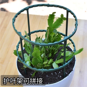蟹爪兰支架多层双层园艺花架植物爬藤架子兰花绿萝防倒护叶支撑架