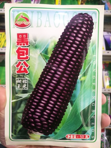 东北特产玉米种子苞米粘黏苞米种子籽黑玉米种子籽100克包邮