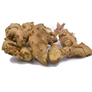 贵州苗家特产可种植新鲜草果根煲汤剁糟辣椒本店另有草果花