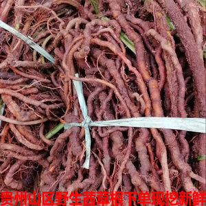 小血藤药材