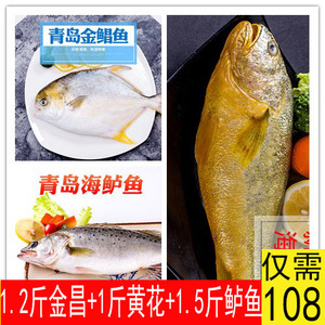 青岛黄花鱼金昌鲈鱼鲜活冷冻新鲜海鱼套餐3.7斤 空运包邮