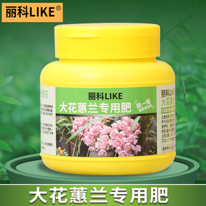 大花惠兰专用肥