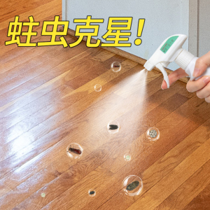 蛀虫杀虫剂实木地板蛀虫药家用室内木家具蠹虫木虱除虫剂木板床上