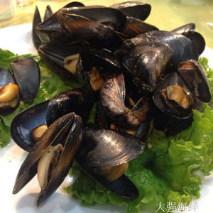 海鲜水产鲜活青口贝 海虹 淡菜新鲜贻贝 贝类生鲜海鲜蛤蜊 250g