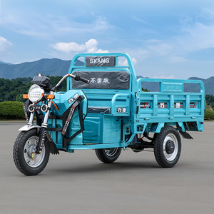 电动三轮车家用拉货农用车成人电三轮爬山王载重国标电动车电瓶车